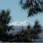 Александра Ф.