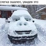 Дарья Сухарева