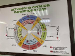 Фотография Центр здоровья Устиновой О.И. 0