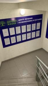 Фотография Дерево Жизни 5