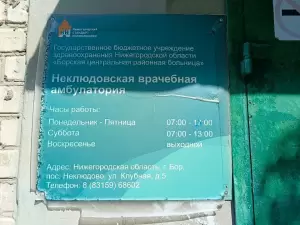 Фотография ГБУЗ НО «Борская центральная районная больница» 1