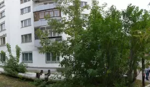 Фотография Гемохелп 4
